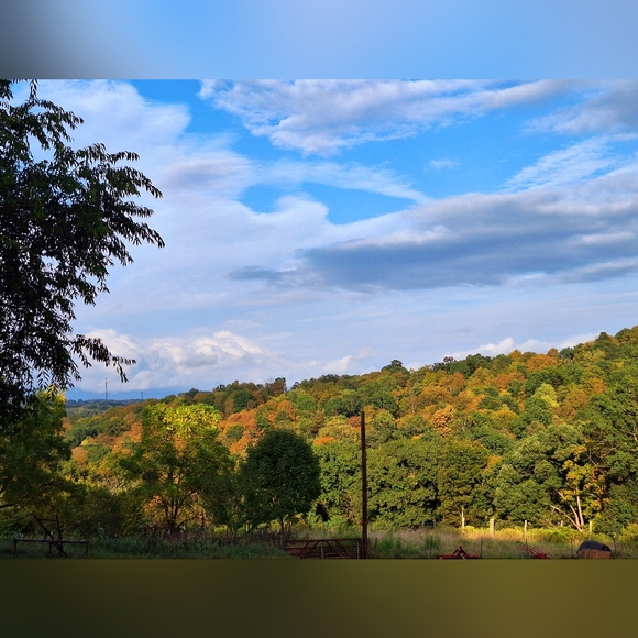 Meet your Posher, Lisa - Picture 11 of 11